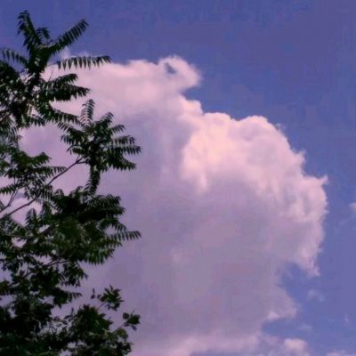 御龙无双官方正版下载